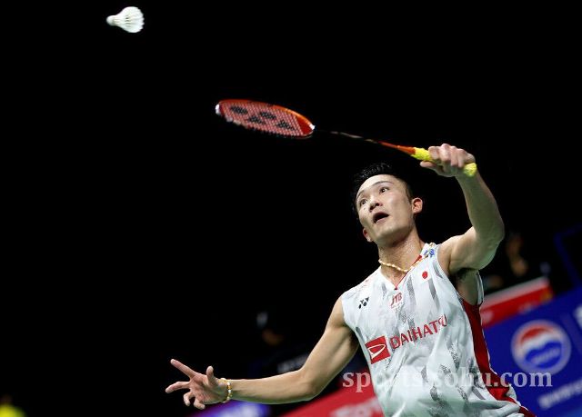 展潜力的球 展潜力的球