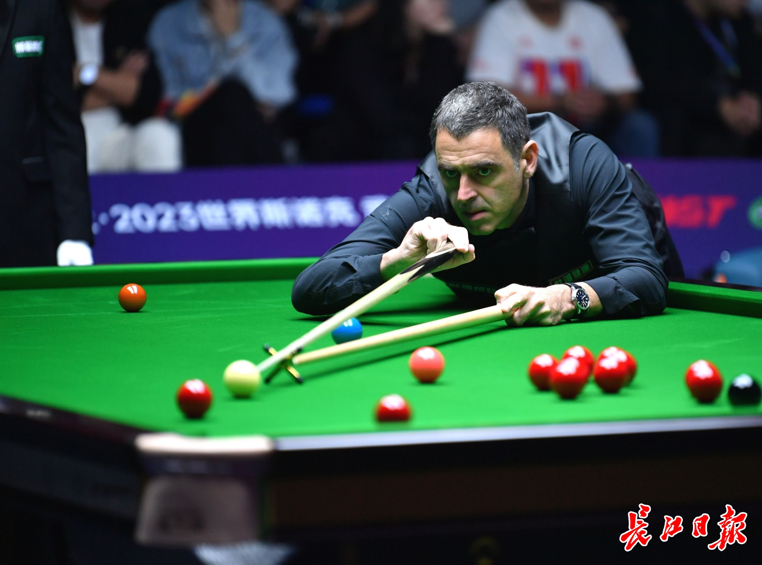 中有着显著 中有着显著